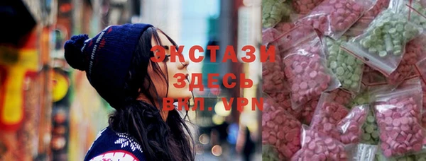 шишки Няндома