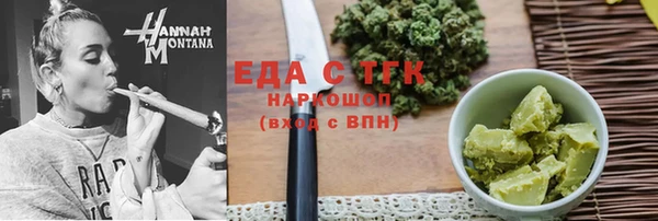 шишки Няндома