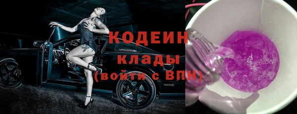 шишки Няндома