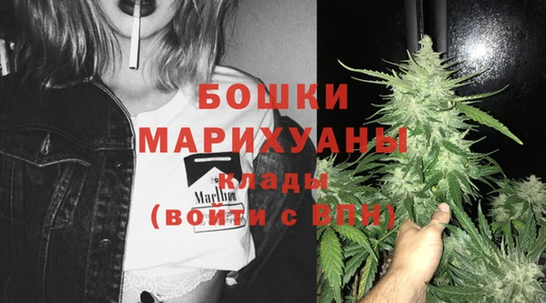 шишки Няндома