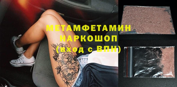 шишки Няндома