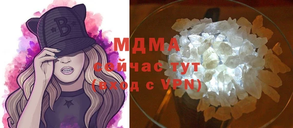 шишки Няндома