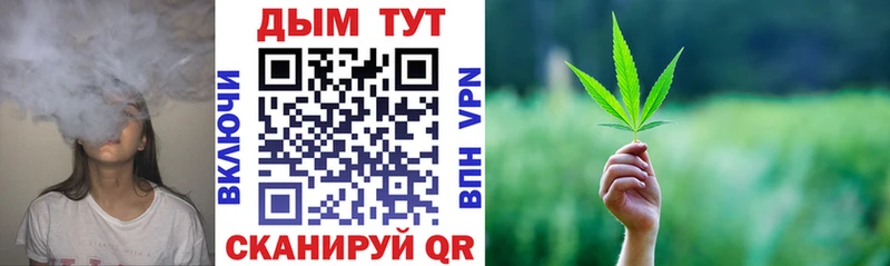 Шишки марихуана THC 21%  Тавда 